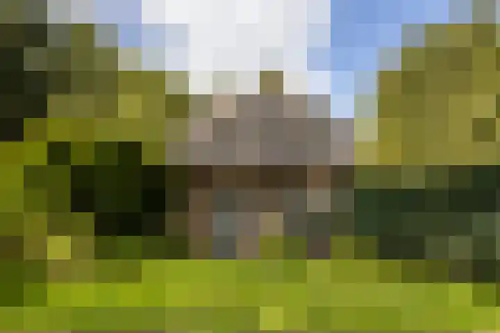 Schupperijweg 29 Wenum Wiesel thumbnail 28