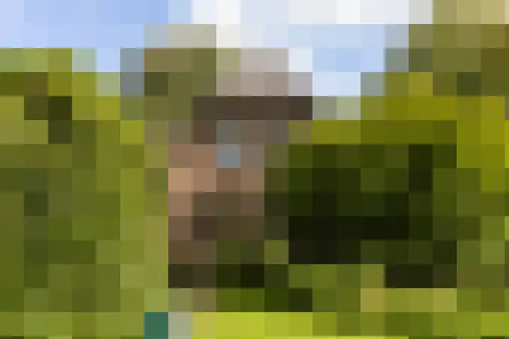 Schupperijweg 29 Wenum Wiesel thumbnail 29