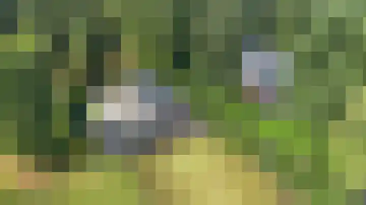 Schupperijweg 29 Wenum Wiesel thumbnail 31