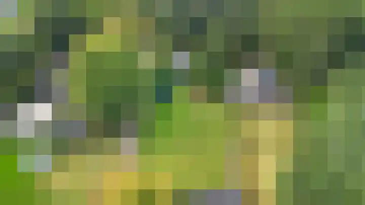 Schupperijweg 29 Wenum Wiesel thumbnail 32
