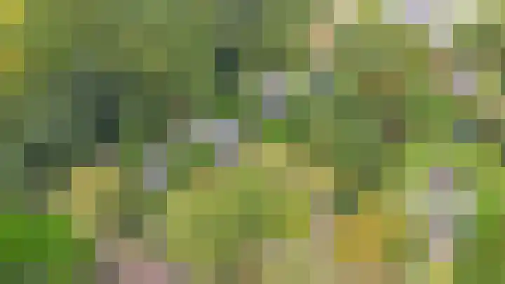 Schupperijweg 29 Wenum Wiesel thumbnail 33
