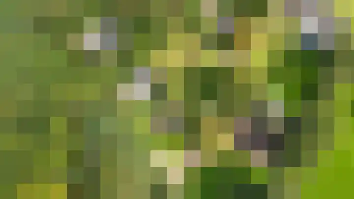 Schupperijweg 29 Wenum Wiesel thumbnail 34