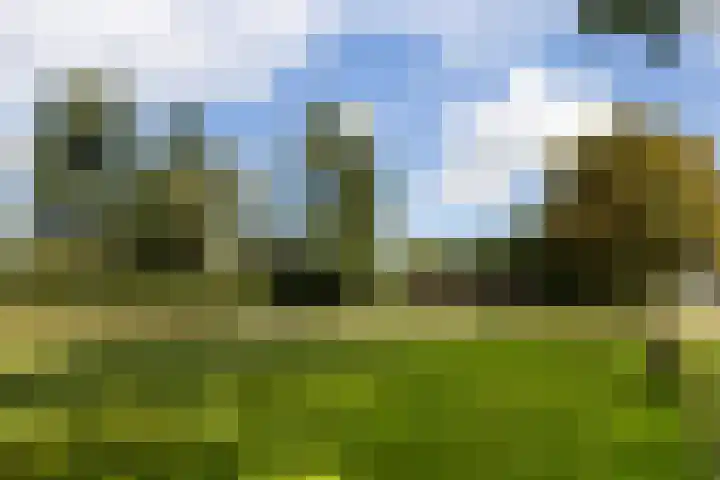 Schupperijweg 29 Wenum Wiesel thumbnail 5