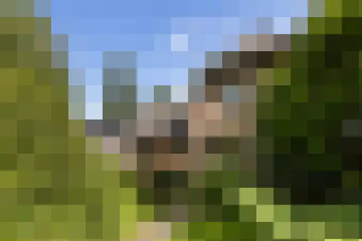 Schupperijweg 29 Wenum Wiesel thumbnail 6