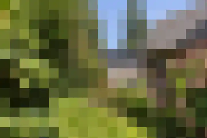 Schupperijweg 29 Wenum Wiesel thumbnail 7
