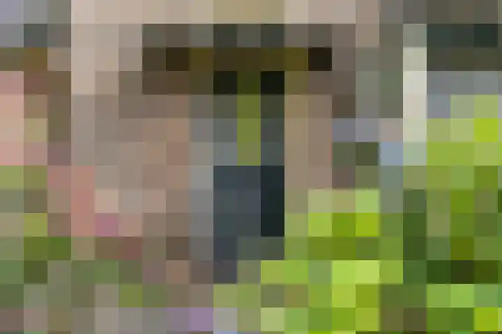 Schupperijweg 29 Wenum Wiesel thumbnail 8