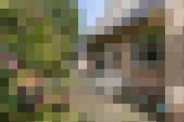 Schupperijweg 29 Wenum Wiesel thumbnail 9