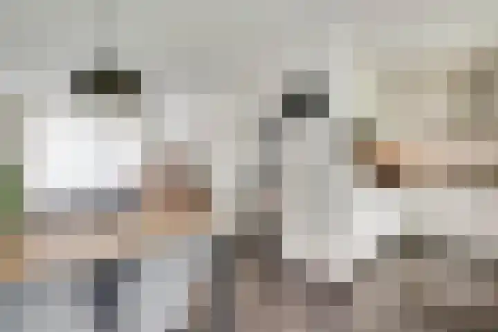 Schurenhof 1 Baexem thumbnail 10