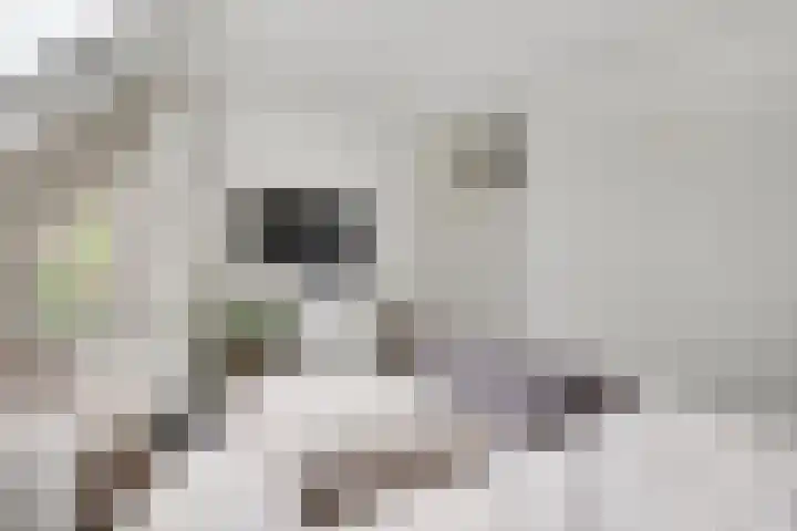Schurenhof 1 Baexem thumbnail 21