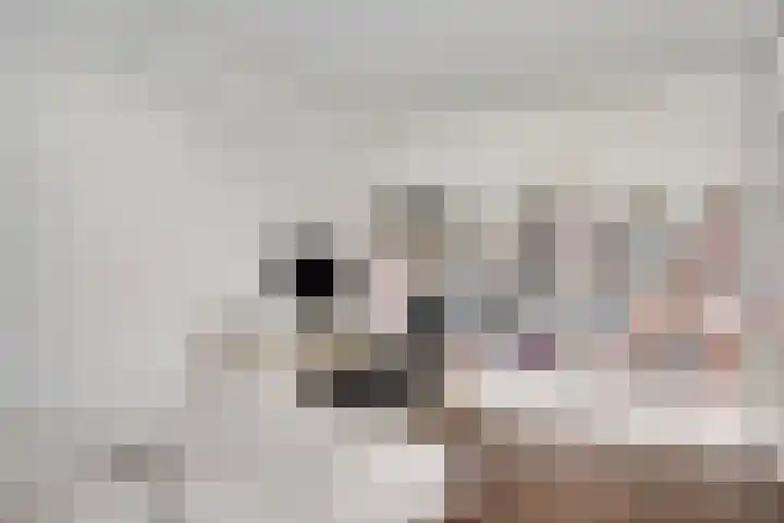 Schurenhof 1 Baexem thumbnail 24