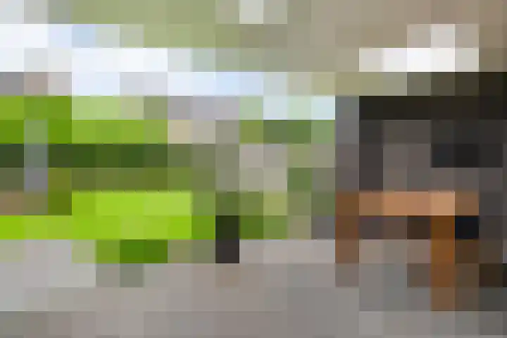 Schurenhof 1 Baexem thumbnail 29