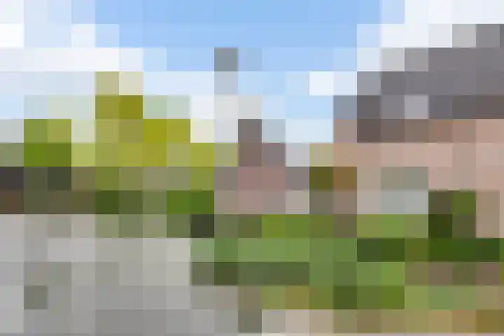 Schurenhof 1 Baexem thumbnail 35