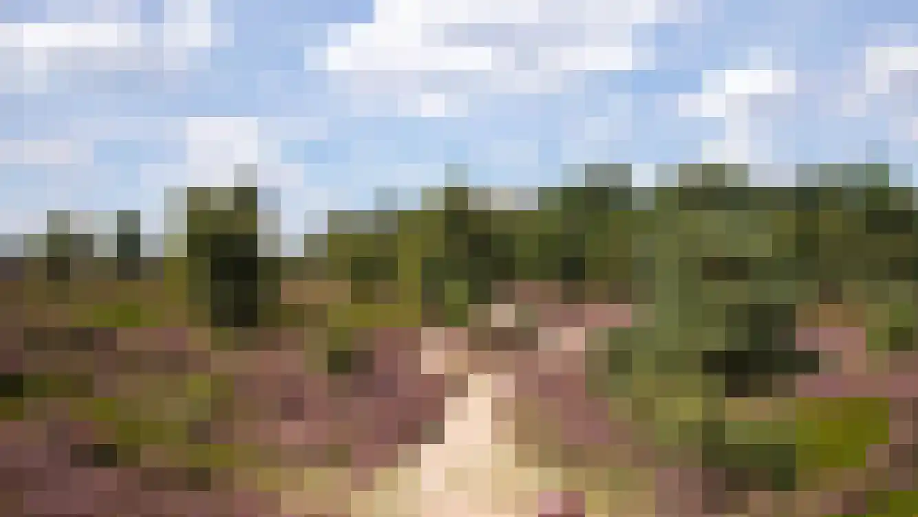 Schurerslaan 4 25 Wateren thumbnail 17