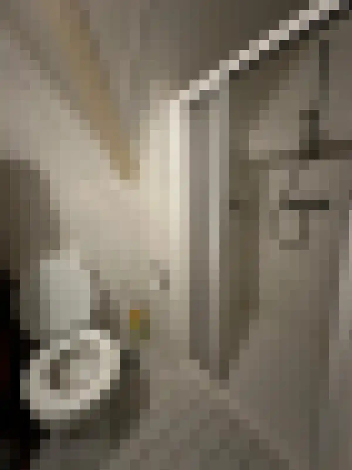 Schurerslaan 4 a Wateren thumbnail 14
