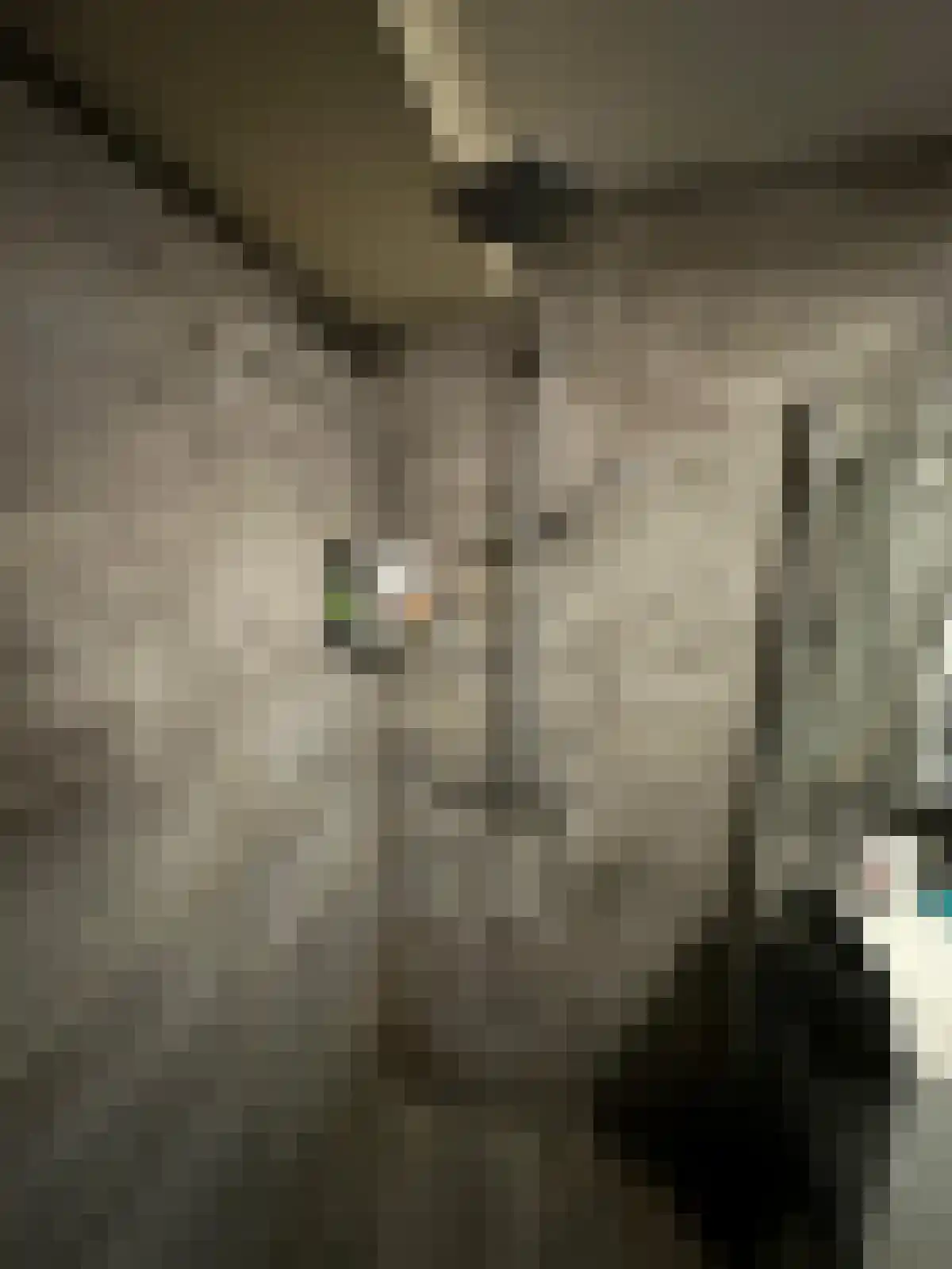 Schurerslaan 4 a Wateren thumbnail 18