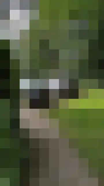 Schurerslaan 4 a Wateren thumbnail 23