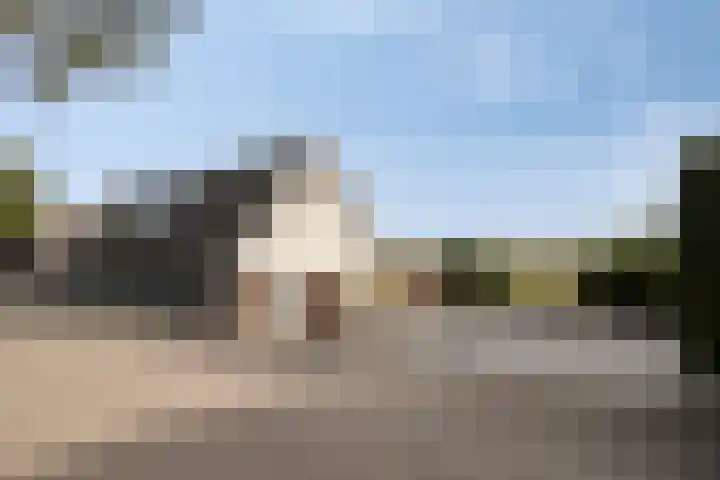 Schuringsedijk 154 Numansdorp thumbnail 4