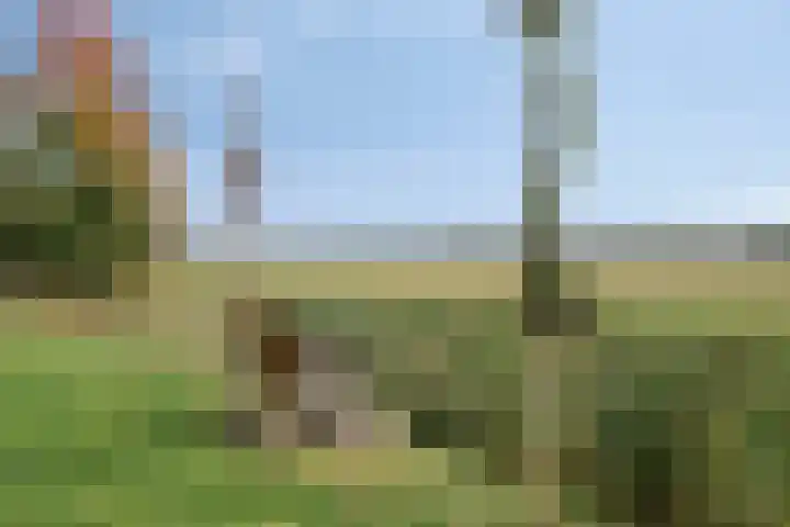 Schuringsedijk 154 Numansdorp thumbnail 41