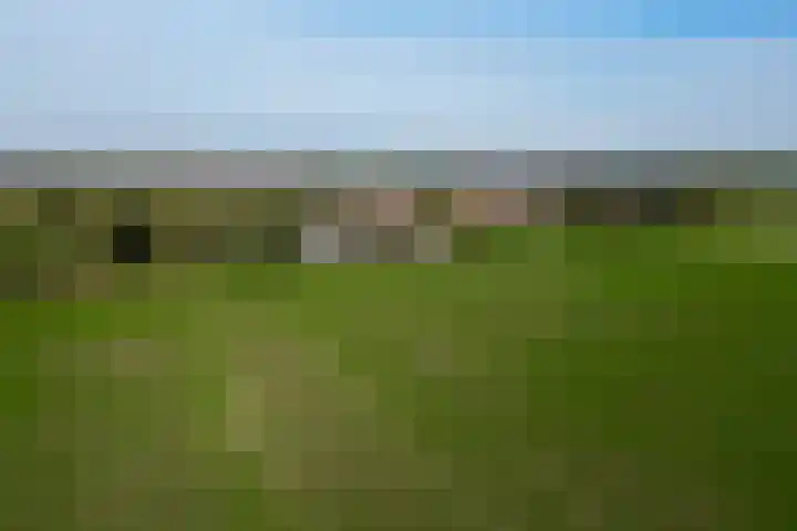 Schuringsedijk 154 Numansdorp thumbnail 60