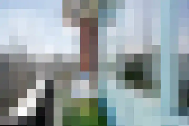 Schurinkhof 33 Ommen thumbnail 17