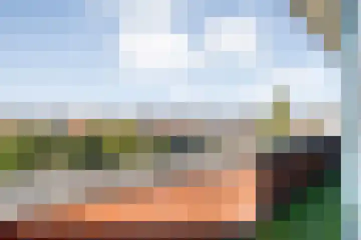 Schurinkhof 33 Ommen thumbnail 23