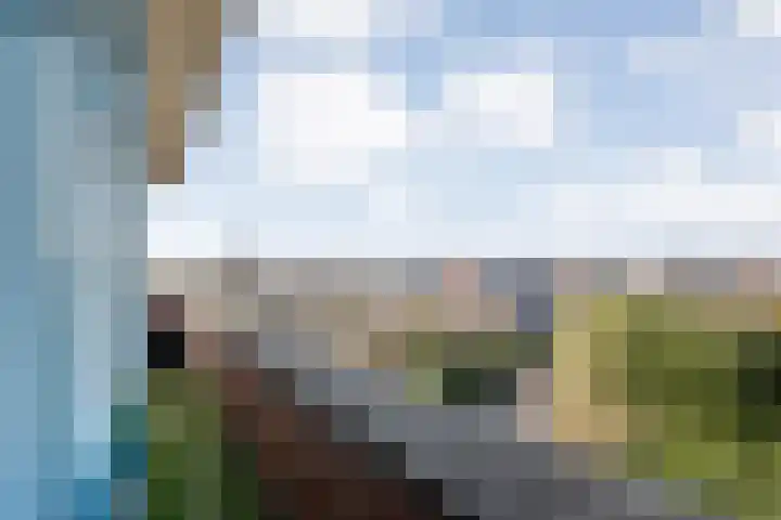 Schurinkhof 33 Ommen thumbnail 26