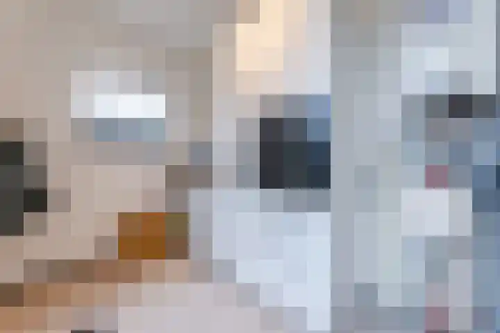 Schurinklaan 21 Eefde thumbnail 10