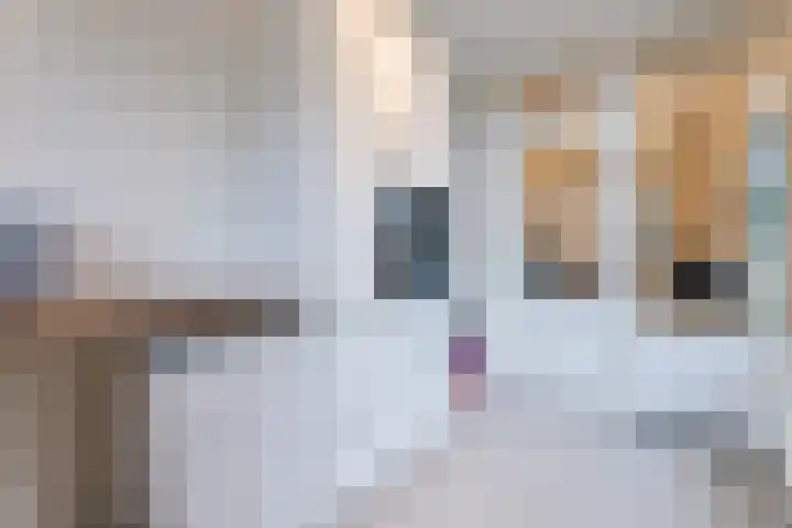 Schurinklaan 21 Eefde thumbnail 11