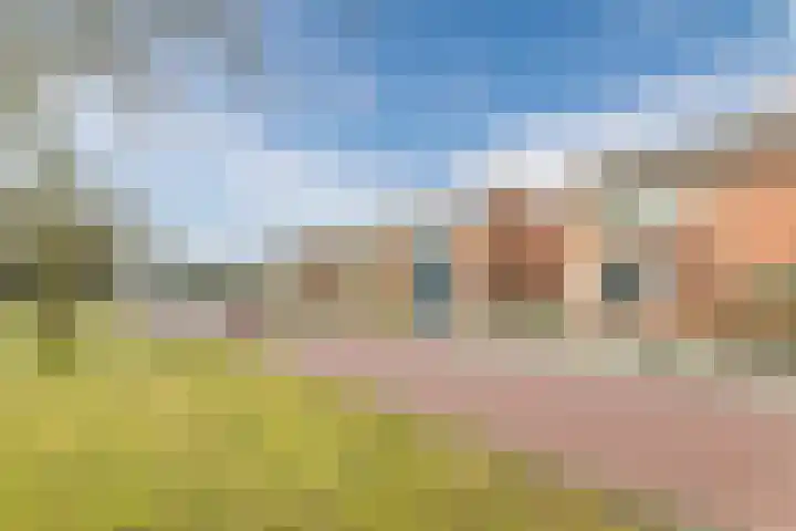 Schurinklaan 21 Eefde thumbnail 33
