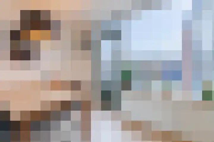 Schurinklaan 21 Eefde thumbnail 7