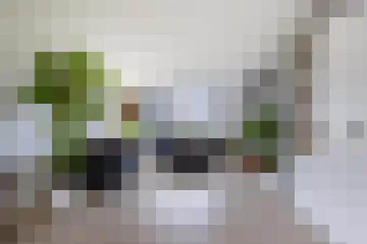 Schurinklaan 4 Eefde thumbnail 13