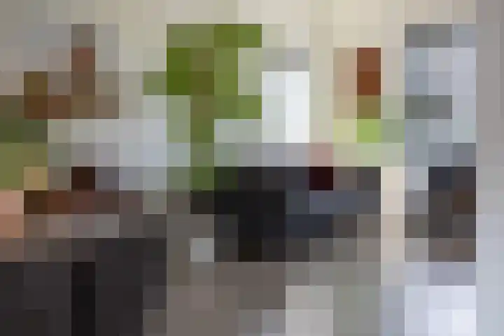 Schurinklaan 4 Eefde thumbnail 14