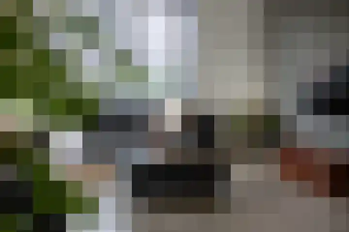 Schurinklaan 4 Eefde thumbnail 15
