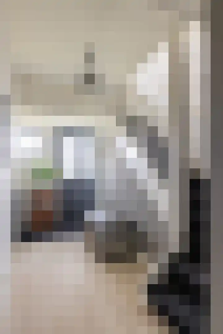 Schurinklaan 4 Eefde thumbnail 18