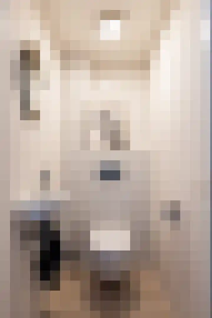 Schurinklaan 4 Eefde thumbnail 19