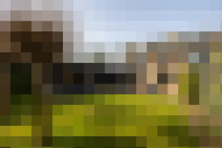 Schurinklaan 4 Eefde foto 2