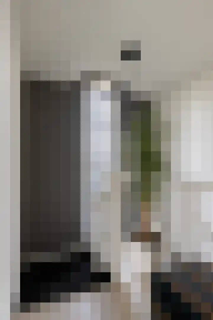 Schurinklaan 4 Eefde thumbnail 21