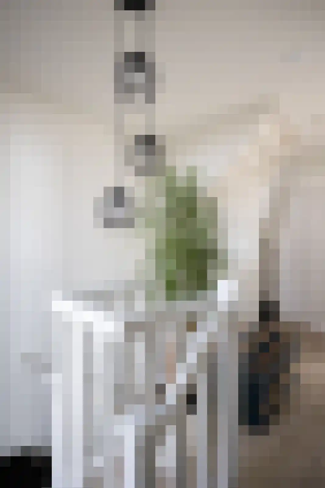 Schurinklaan 4 Eefde thumbnail 22
