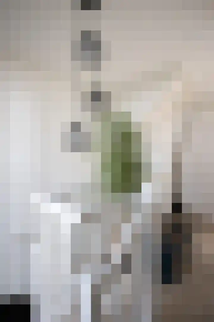 Schurinklaan 4 Eefde thumbnail 22