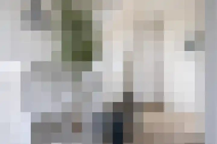Schurinklaan 4 Eefde thumbnail 23