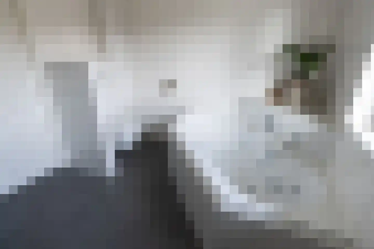 Schurinklaan 4 Eefde thumbnail 30