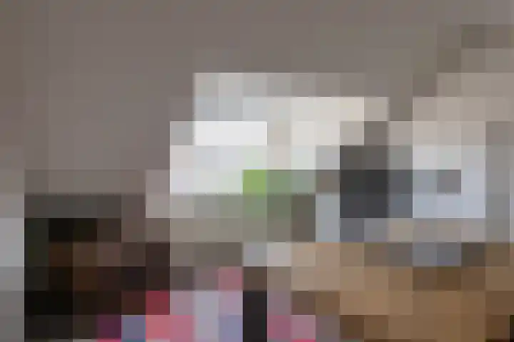 Schurinklaan 4 Eefde thumbnail 33