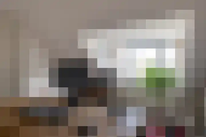 Schurinklaan 4 Eefde thumbnail 34