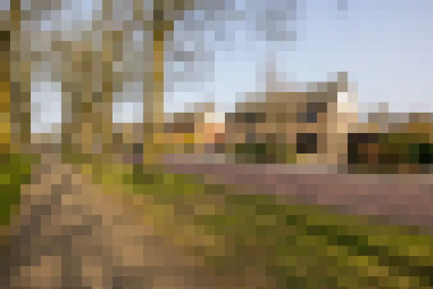 Schurinklaan 4 Eefde thumbnail 45