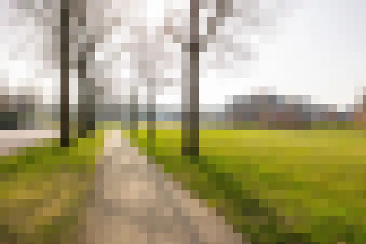 Schurinklaan 4 Eefde thumbnail 46