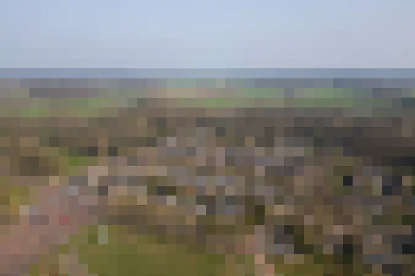 Schurinklaan 4 Eefde thumbnail 48
