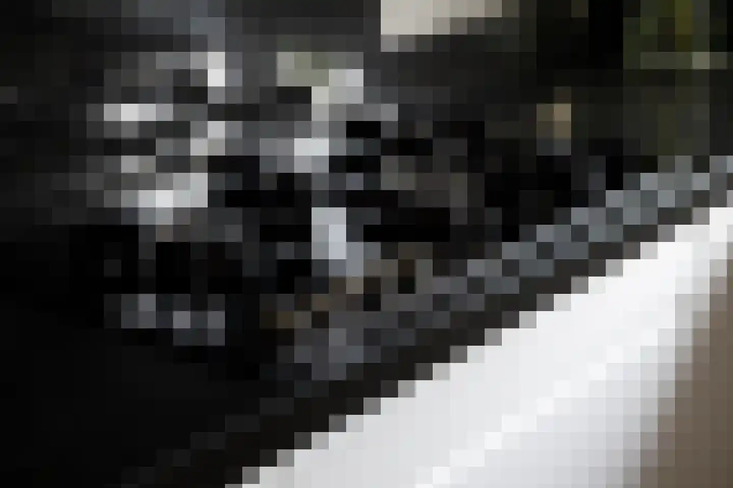 Schurinklaan 4 Eefde thumbnail 6