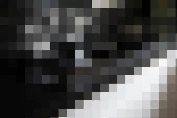 Schurinklaan 4 Eefde thumbnail 6