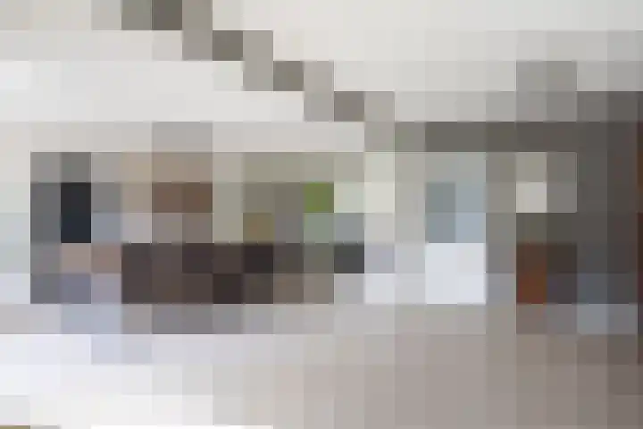 Schurinklaan 4 Eefde thumbnail 9
