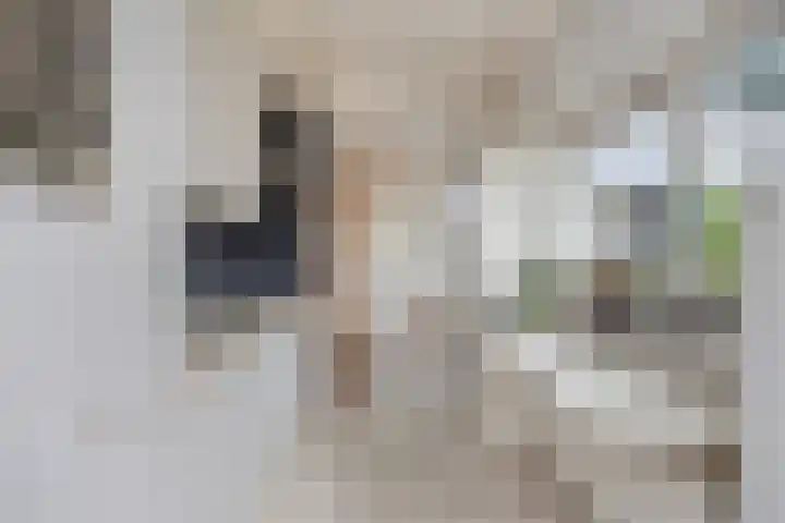 Schurinklaan 43 Eefde thumbnail 11